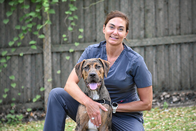 Dr. Kelli E. Weaver, VMD, DACVIM (SAIM), board-certified small animal internist in Tampa